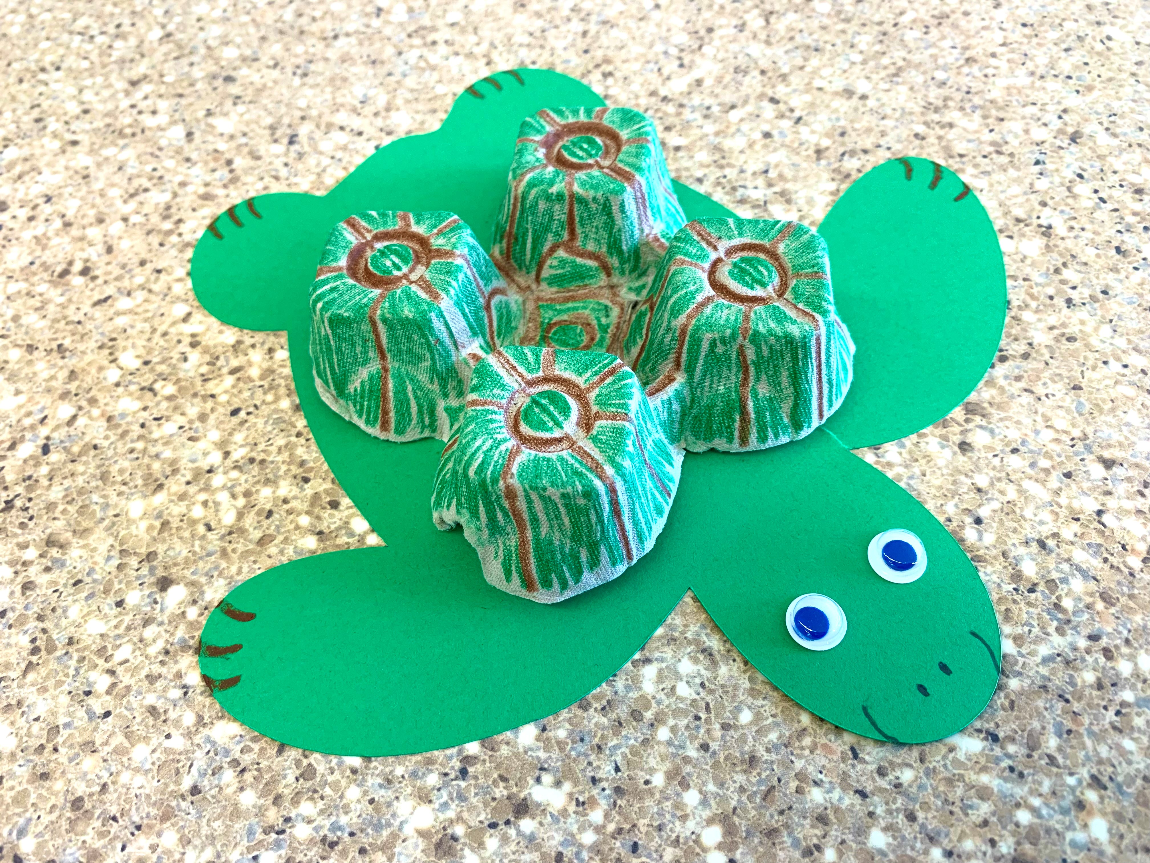 Earth Day Turtle Craft