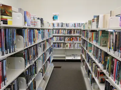 shelves of adult book