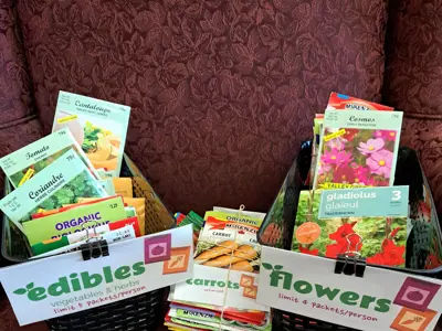 seeds in packages in baskets