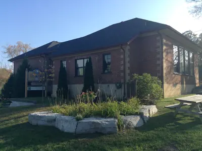front of buckhorn library branch in summer